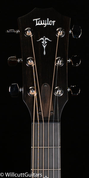 Taylor 514ce Urban Ironbark/Torrefied Sitka (002)
