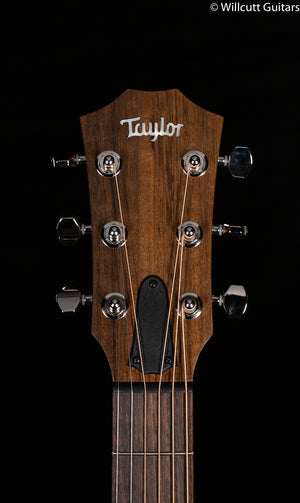 Taylor GT Urban Ash Spruce Lefty