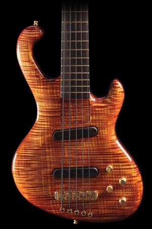 Ritter Cora 5-String Late Lounge Bass Guitar (343)