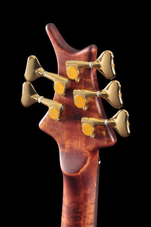 Ritter Cora 5-String Late Lounge Bass Guitar (343)