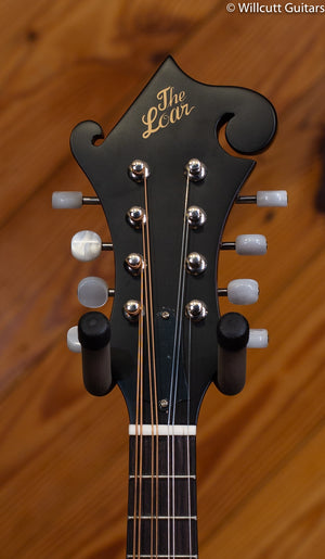 Loar F Mandolin, Solid Top BRB DEMO