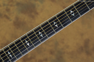 Taylor 810ce USED