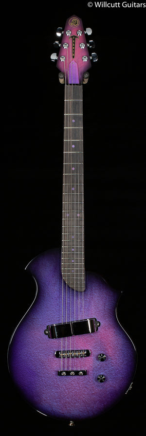Rick Turner Model T Custom "Bezardpoxy" Top