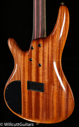 Ibanez SR1600D Premium Bass Autumn Sunset Sky Bass Guitar