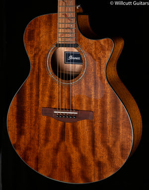 Ibanez AE SERIES ACS-EL AC GUITAR AE295LGS (672)