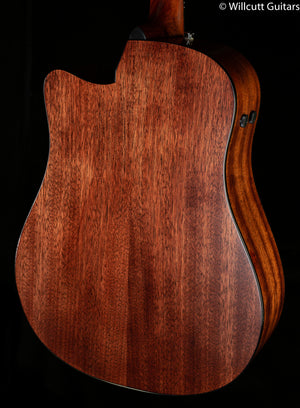 Ibanez Advanced Acoustic Series AAD170CELGS (069)