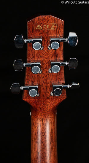 Ibanez Advanced Acoustic Series AAD300CELGS (811)