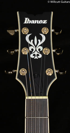 Ibanez Artcore Expressionist AMH90 Hollowbody Electric Guitar Prussian Blue Metallic (064)