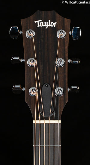 Taylor 210ce (101)