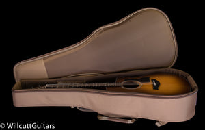 Taylor 114ce-SB Special Edition Walnut/Spruce Satin Sunburst Top (386)