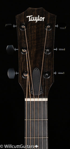 Taylor 224ce DLX LTD Mahogany/Sapele Trans Red (339)