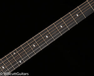 Taylor 224ce DLX LTD Mahogany/Sapele Trans Red (339)