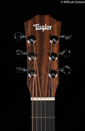 Taylor BT1e