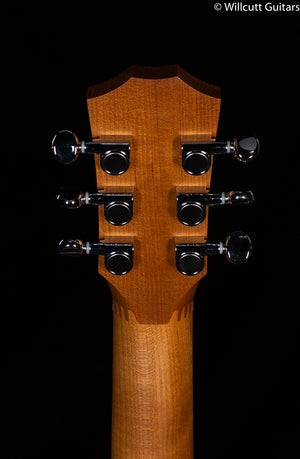 Taylor BT1e