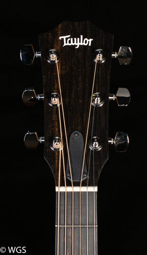 Taylor 210ce Plus (497)