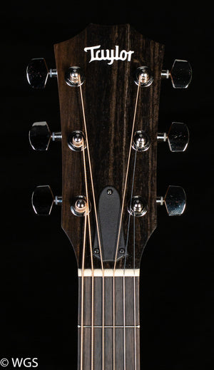 Taylor 210ce Plus (442)
