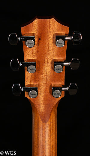 Taylor 210ce Plus (442)