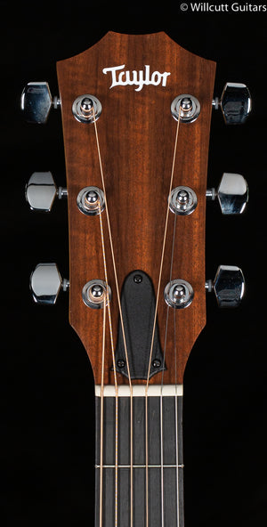 Taylor Academy 22e,Layered Walnut,Walnut Top (277)