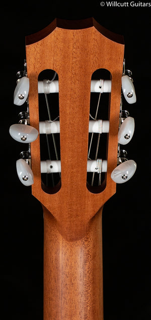 Taylor 214ce-N Nylon Grand Auditorium Rosewood/Spruce (117)