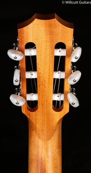 Taylor Academy 12e-N (216)