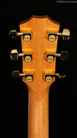 Taylor LTD 224ce-K Deluxe Satin