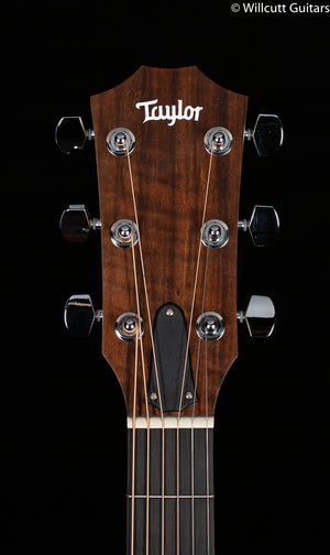 Taylor Academy 12 Acoustic