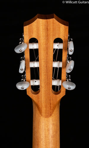 Taylor Academy 12e-N