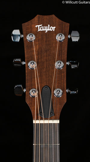 Taylor Academy 12e (538)