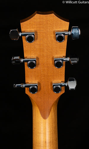 Taylor Academy 12e (538)