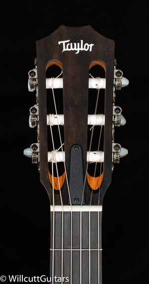 Taylor 214ce Nylon