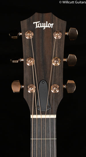 Taylor 224ce-K DLX