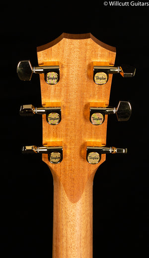 Taylor 224ce-K DLX