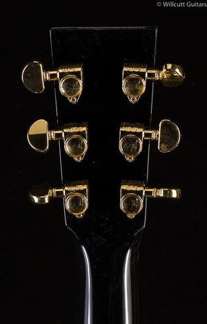 Martin Jimmy Buffett Custom D