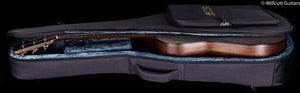 Martin D-16E Mahogany (784)