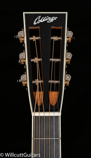 Collings 0003 Blue Spruce BearClaw