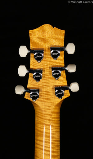 Collings 360 LT M Electric Guitar Doghair