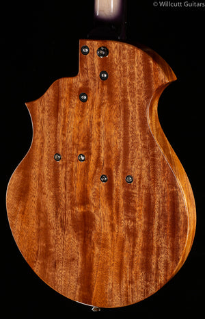 Rick Turner Model T Custom "Bezardpoxy" Top