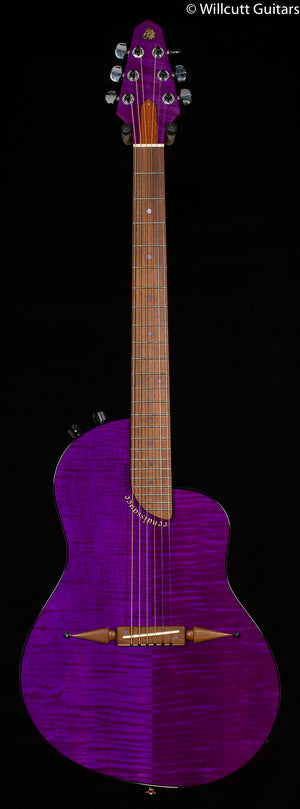 Rick Turner Renaissance RS-6 Special Purple Rain