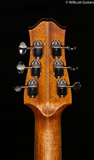 Giffin Standard Hollow Body Bubinga Top