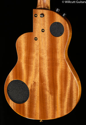 Rick Turner RN6 Standard Hybrid Nylon String Amplicoustic Flamed Redwood (782)