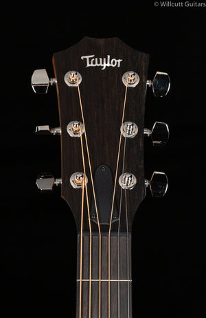 Taylor AD17e American Dream Grand Pacific
