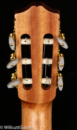 Protege by Cordoba C1M (804)