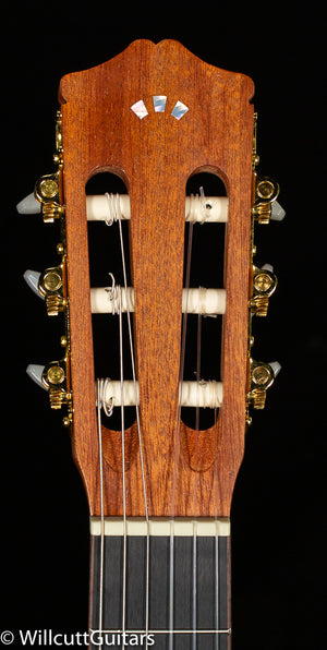 Protege by Cordoba C1M (870)