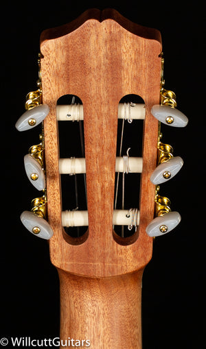 Protege by Cordoba C1M (870)