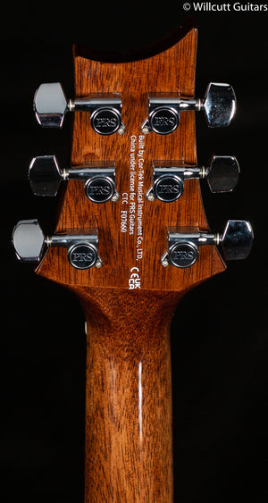 PRS SE AE50E Sitka Spruce Top Black Gold (660)