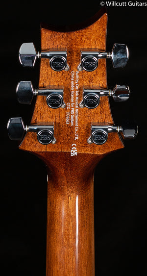 PRS SE AE50E  Sitka Spruce Top Black Gold (663)