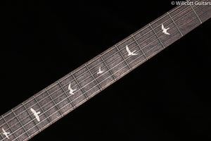 2022 PRS SE Silver Sky Ever Green (171)