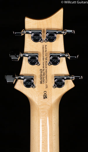PRS SE Custom 24-08 Eriza Verde (730)