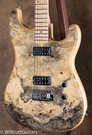 Fender Custom Shop Buckeye Burl Strat NOS Dale Wilson Masterbuilt