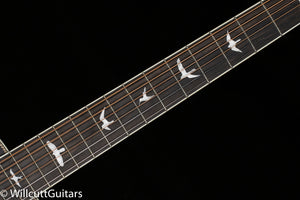 PRS SE P20E Acoustic Parlor Tobacco Sunburst